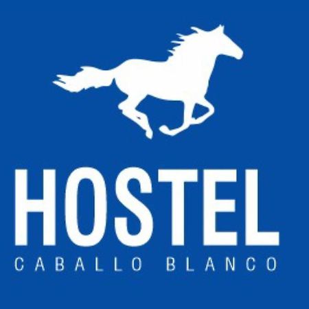 Hostel Caballo Blanco Cartagena Bagian luar foto