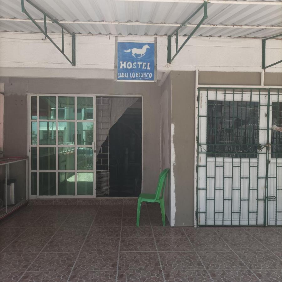 Hostel Caballo Blanco Cartagena Bagian luar foto